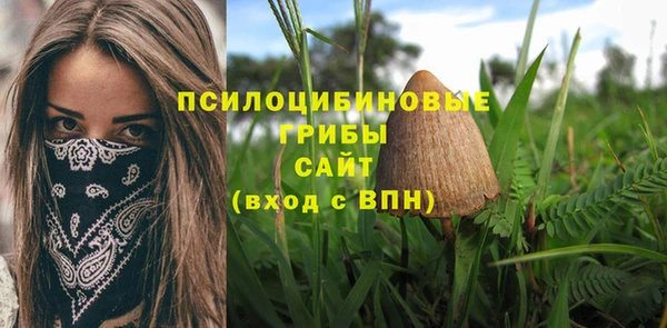 стафф Мегион