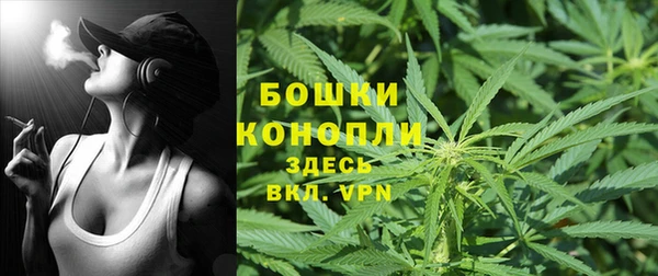 2c-b Медногорск