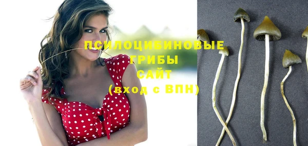 COCAINE Медвежьегорск