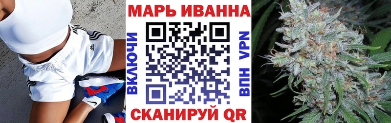 Канабис сатива  Купить закладки  Хилок 